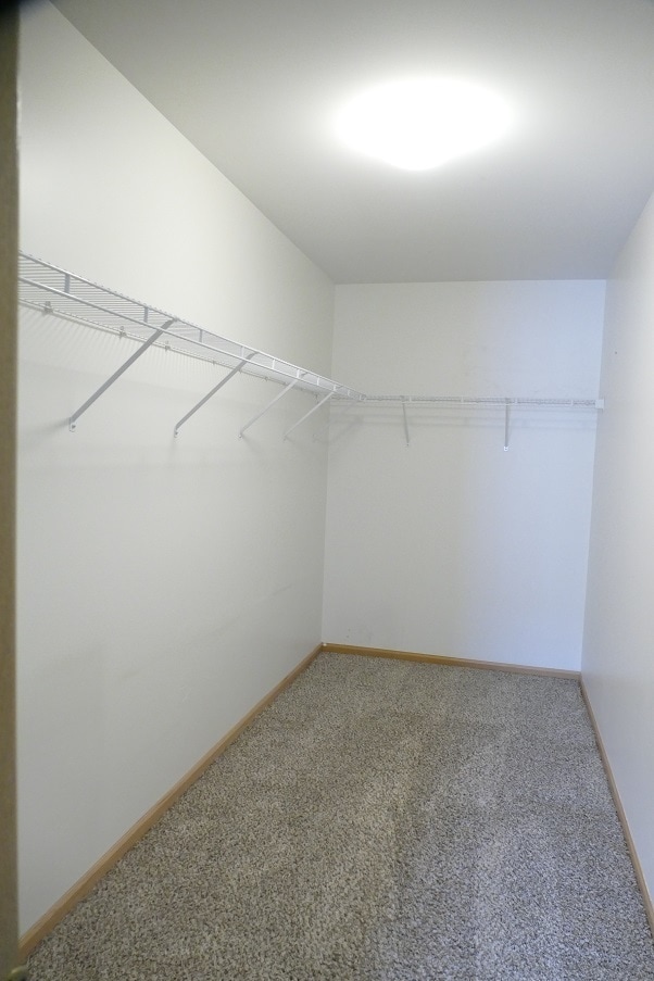 Building Photo - 205 Springbrook Trail S