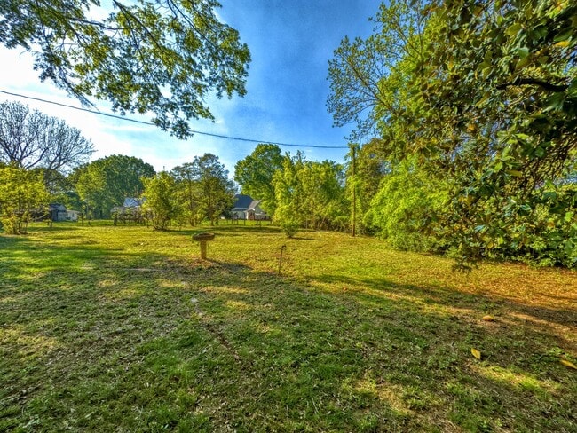 Building Photo - 229 Pee Dee