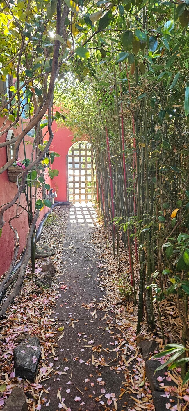 Building Photo - 20 Ventura St