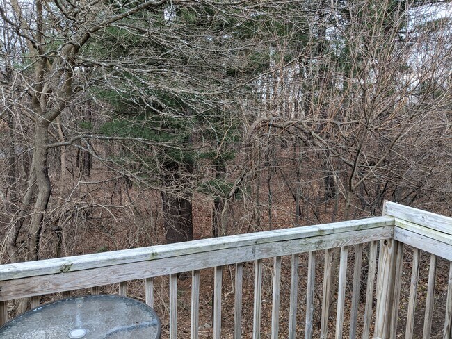 Building Photo - 25D Pine Ln