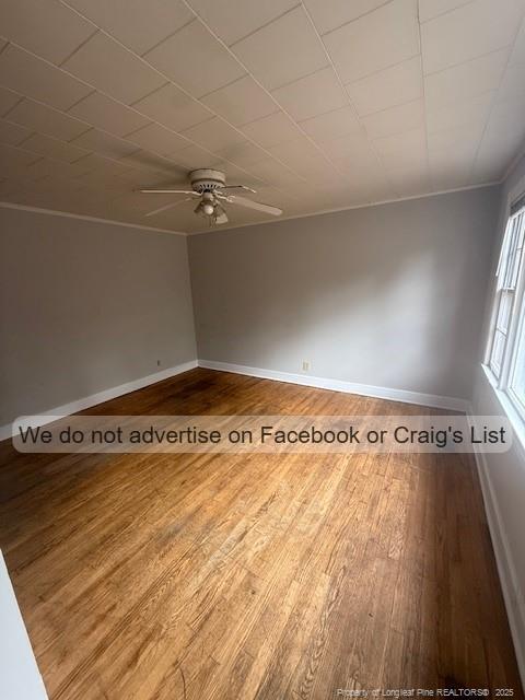 Building Photo - 99 Susan St