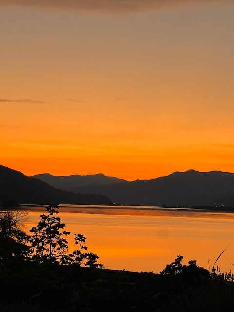 Building Photo - 26 Mosier Creek Pl