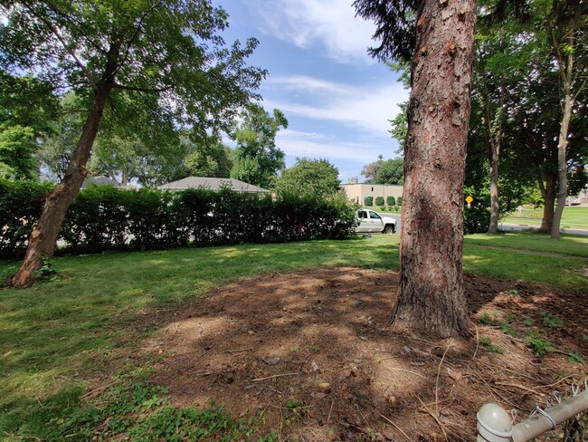 Building Photo - Spacious Home with an INCREDIBLE Yard!