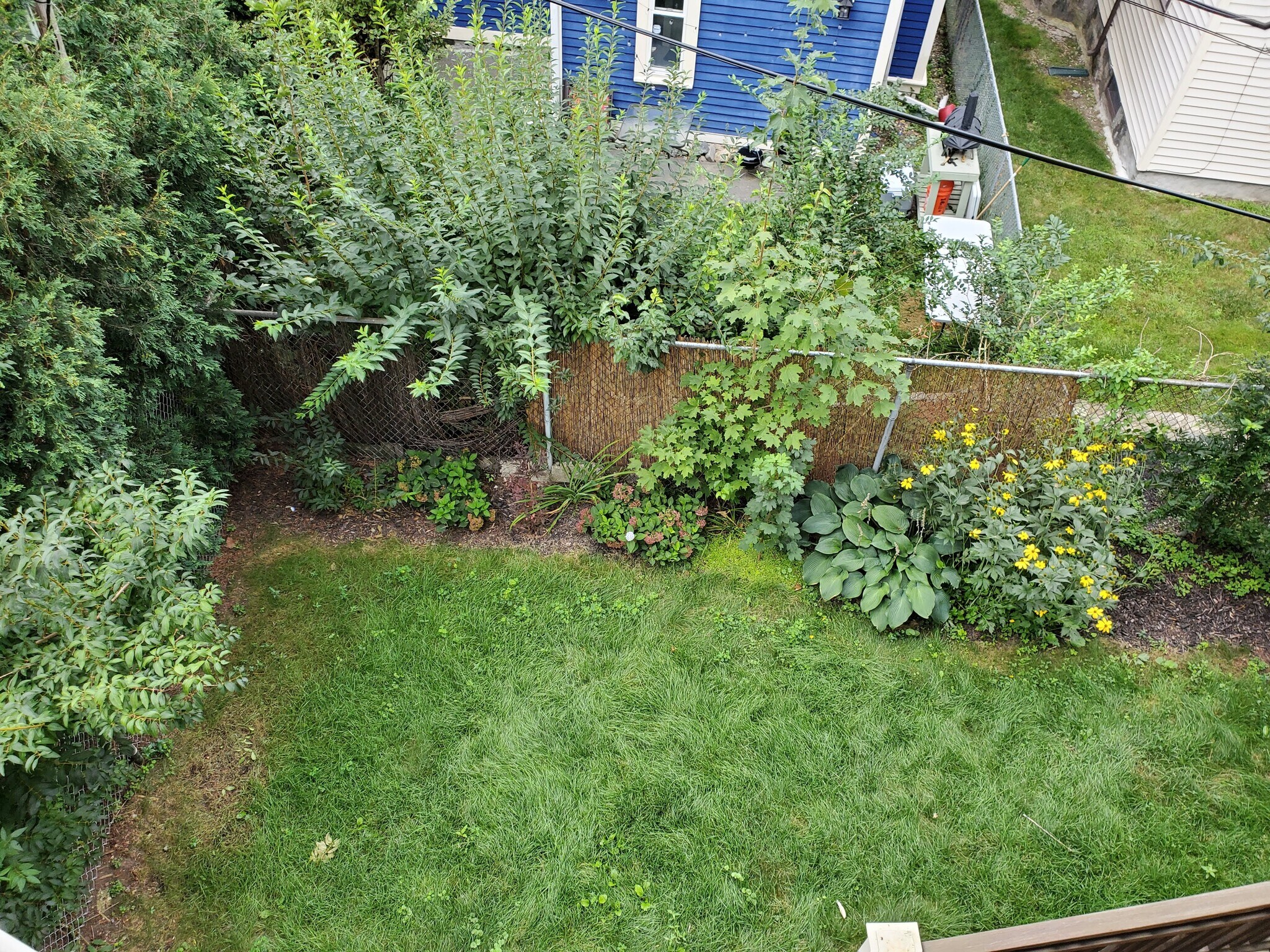 Building Photo - 45 Forest Hills St