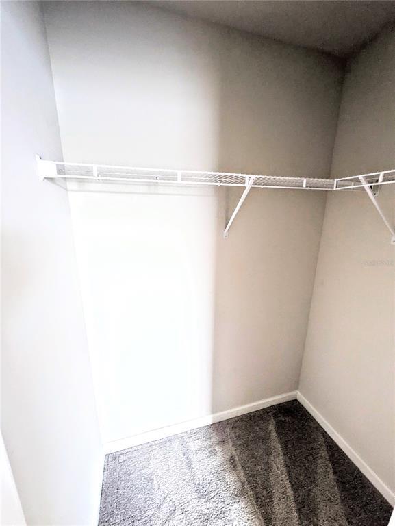 Building Photo - 5429 Spanish Moss Cv