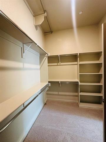 Building Photo - 8804 Scarp Hl Ln