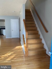 Building Photo - 3282 Halcyon Ct