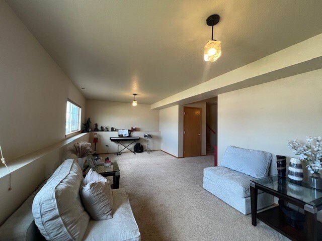 Building Photo - 287 Edelweiss Ln