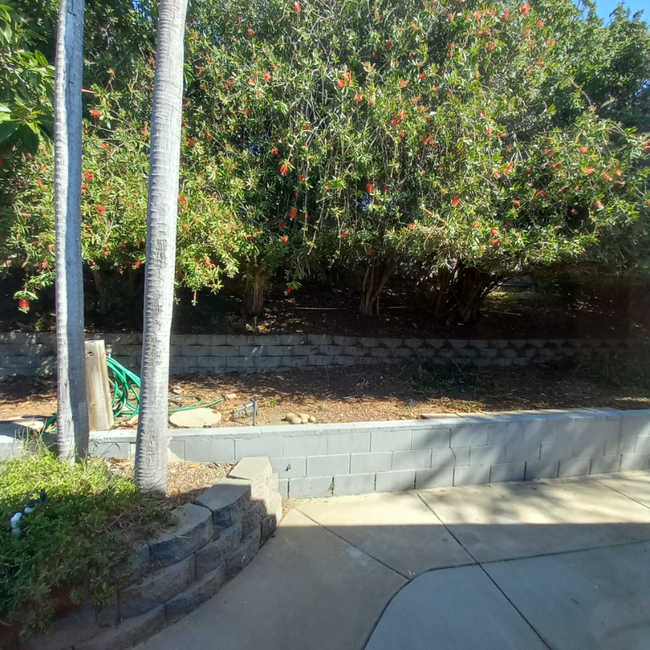Building Photo - 3640 Catalina Dr