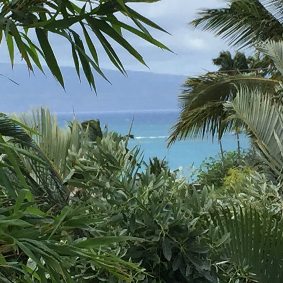 Building Photo - 618 Hana Hwy