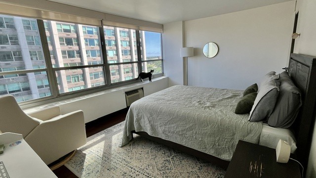 Building Photo - 3550 N Lake Shore Dr