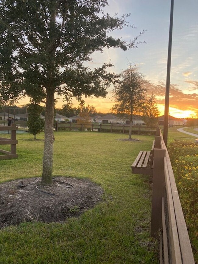 Building Photo - Stylish & Low-Maintenance Living in Oakleaf Community