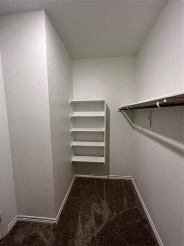 Building Photo - 412 Gunsmoke Trail