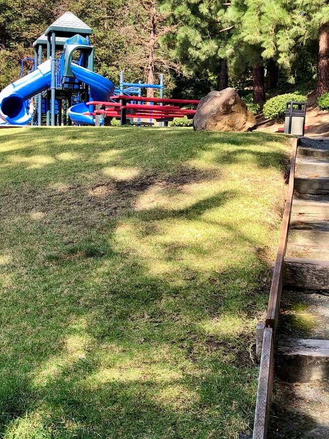 Community Recreation Area - 2405 Deer Tree Ct