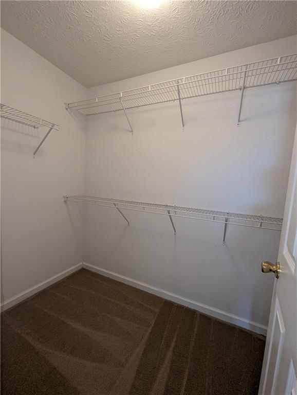 Building Photo - 158 Haven Oak Way