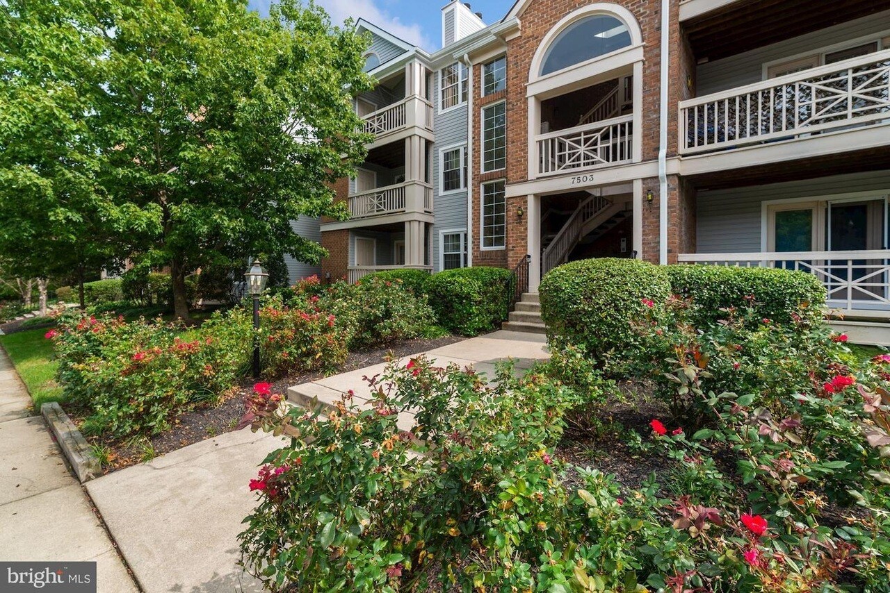 Building Photo - 7503 Ashby Ln