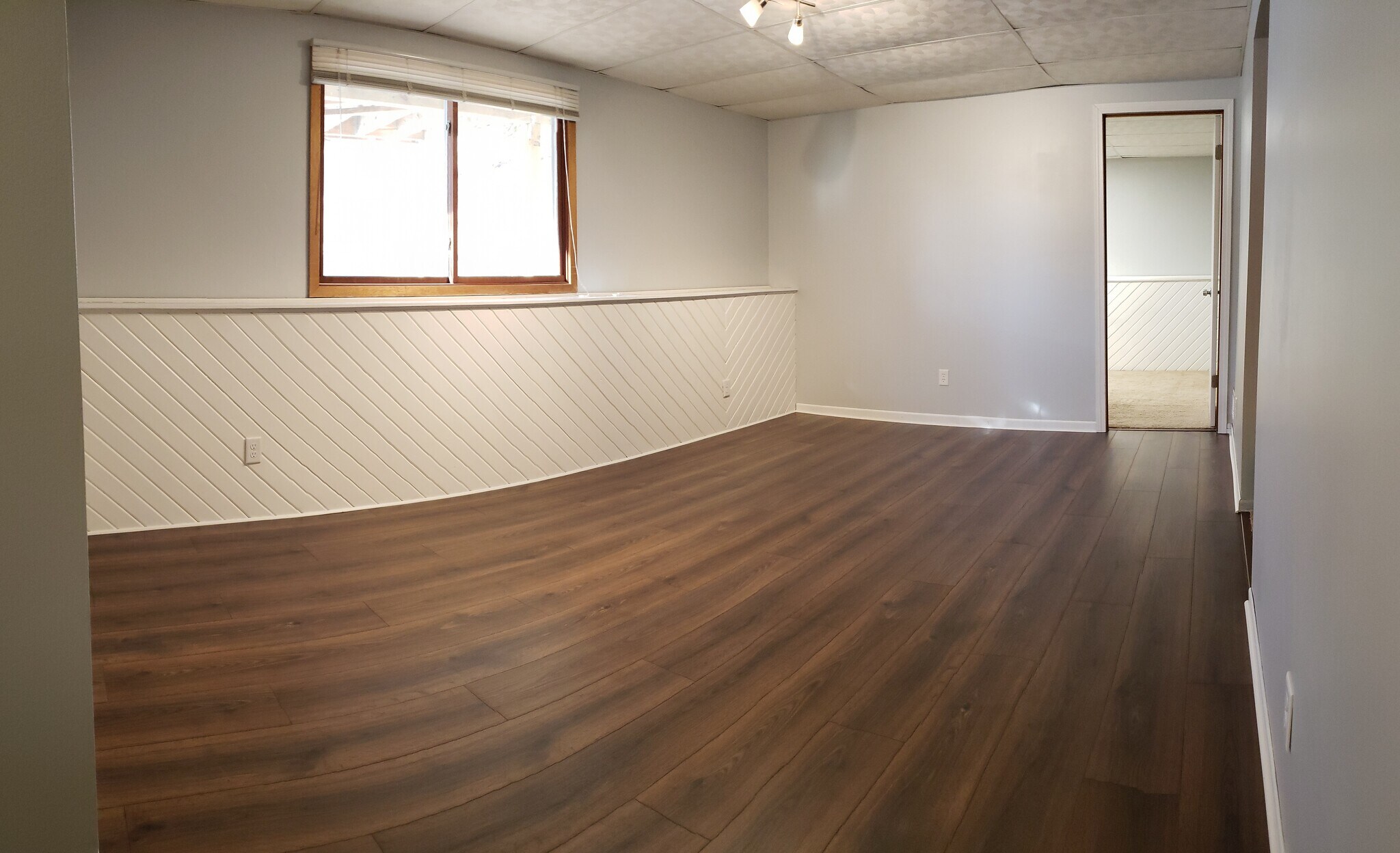 Lower level family Room - 880 Pontiac Ln