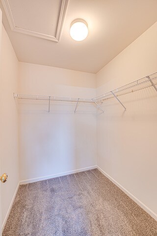 Building Photo - 3355 Kentshire Cir