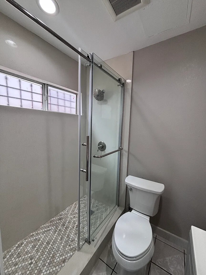 Maester Bathroom Shower - 131 E 82nd Pl