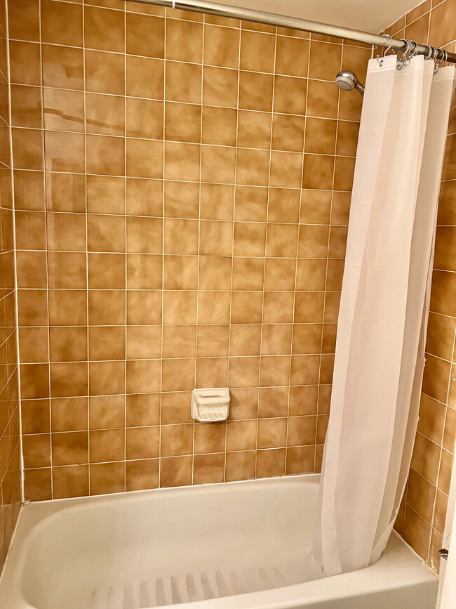 Full Bathroom - 171 Swanton St