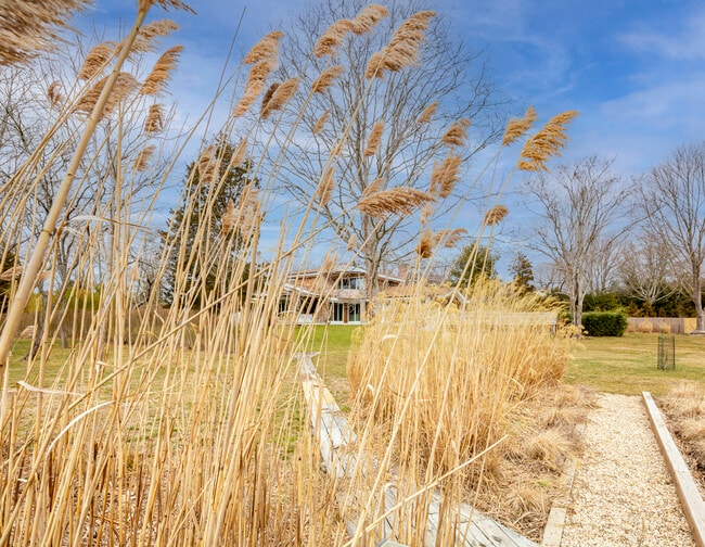 Building Photo - 146 Heady Creek Ln