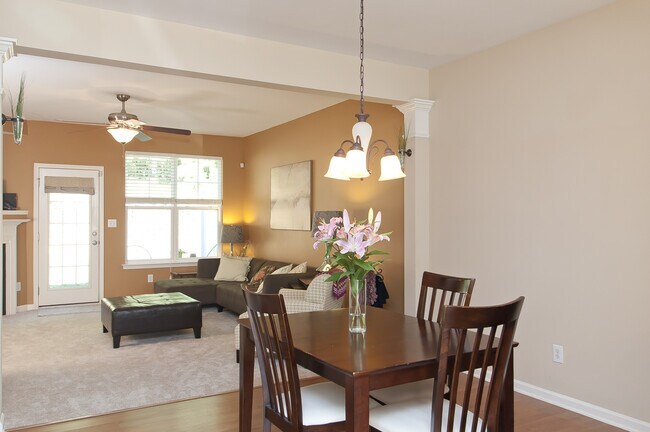 Living room - 8939 Camden Park Dr