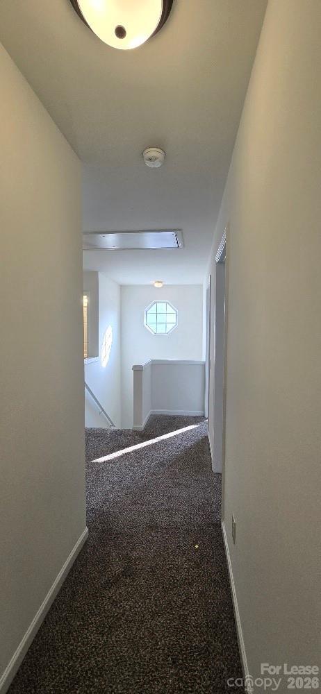 Building Photo - 5320 Peach Pl Ln