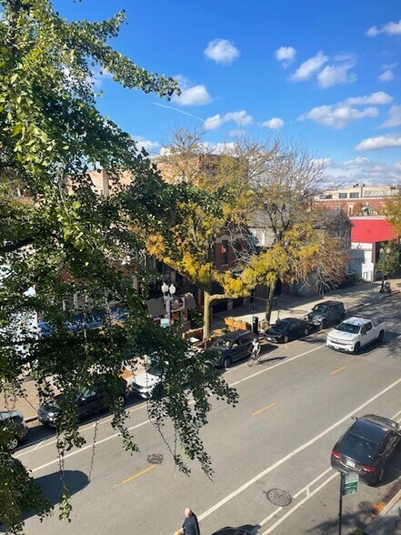 Building Photo - 1531 N Wells St