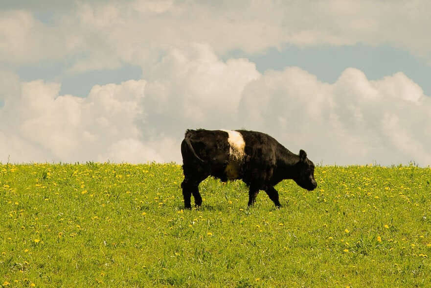 Building Photo - 1104 Crowe Rd