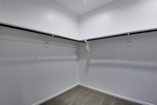 Building Photo - 701 Blacktail Dr