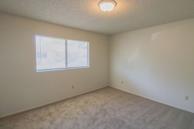 Building Photo - Updated, 2 bedroom, 1 bath apartment tucke...