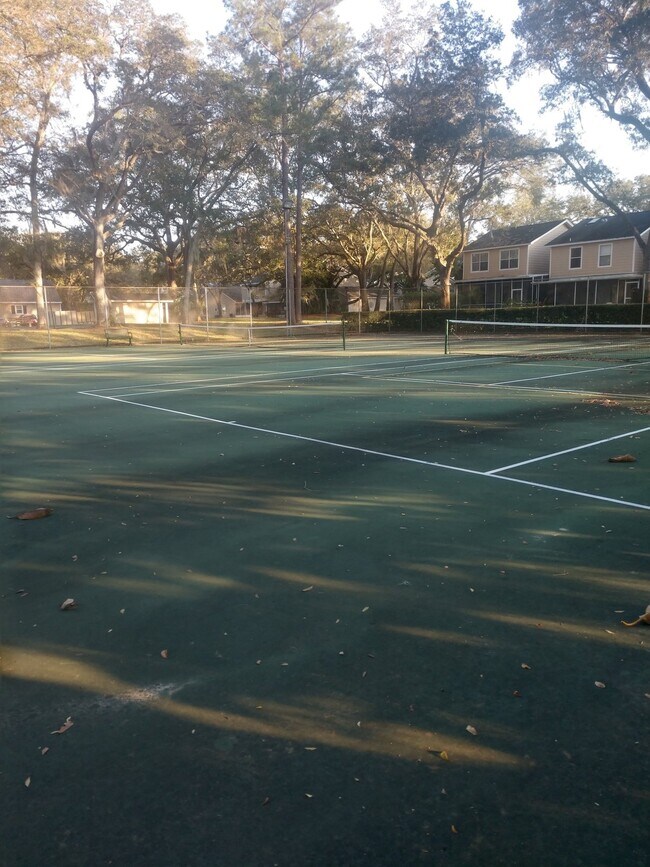 Building Photo - 2 Bedroom/2 Bath Palm Harbor Condo