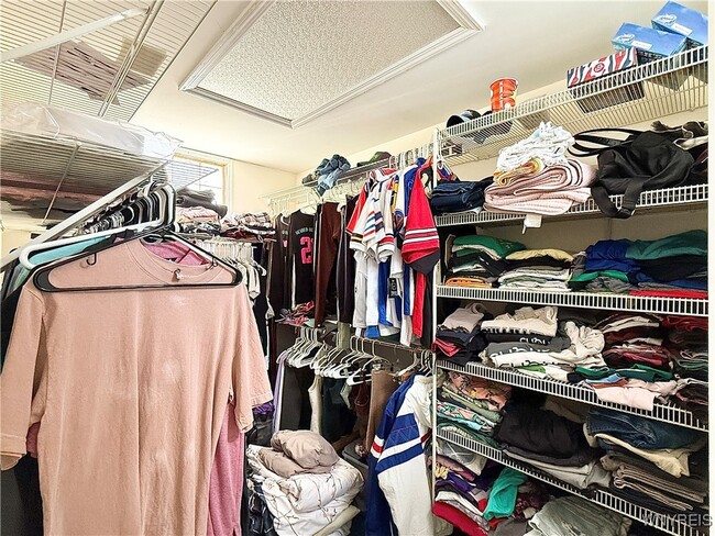 Building Photo - 245 Hamilton Dr