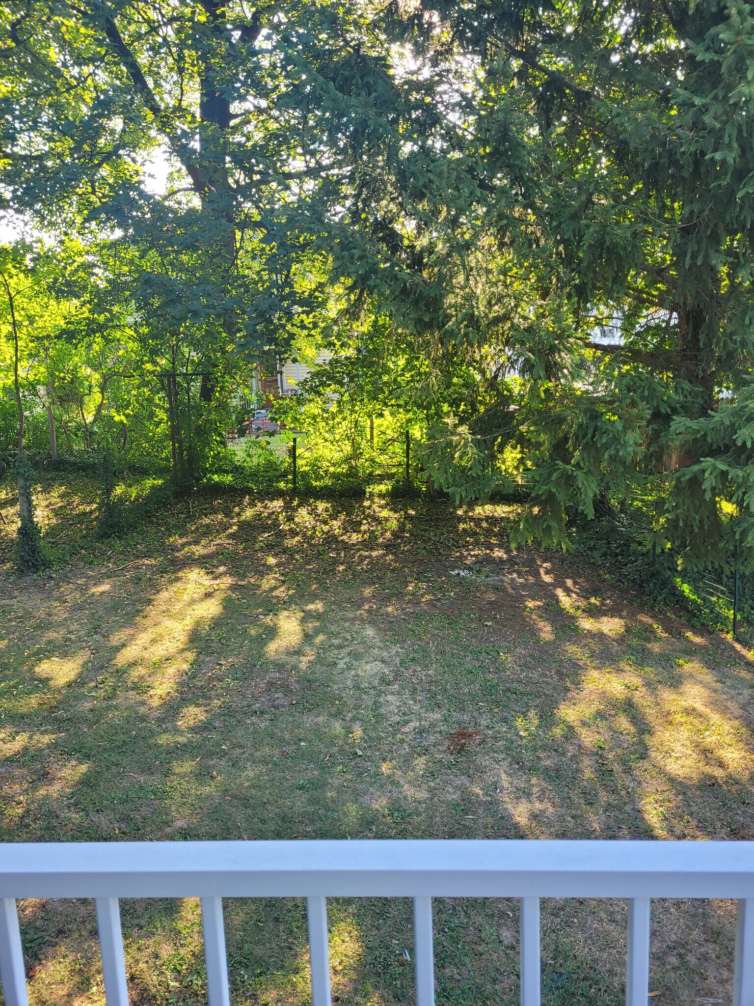 back yard - 14 Liberty St