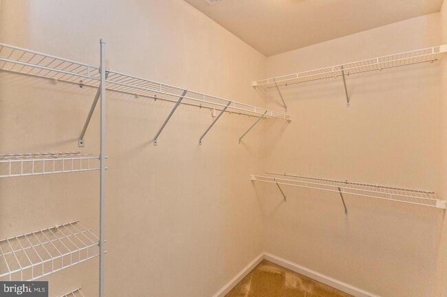 Building Photo - 5424 Double Day Ln