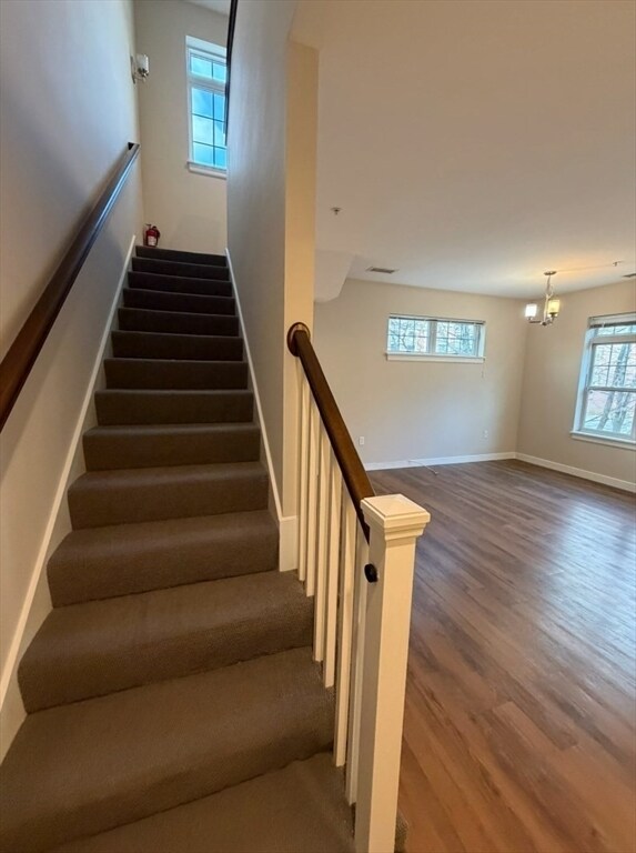 Building Photo - 11 Alder St