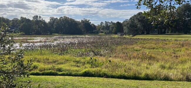 Building Photo - 3 bed/ 2 bath LAKE VIEW IN KILLEARN ESTATES!