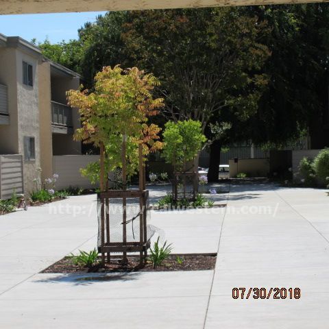 Building Photo - 435 Acalanes Dr