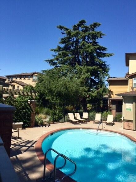 community pool - 722 El Paseo Cir