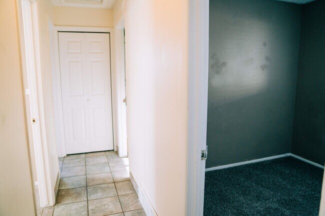 Building Photo - SMALL DOG FRIENDLY!!!  Meadow Street House