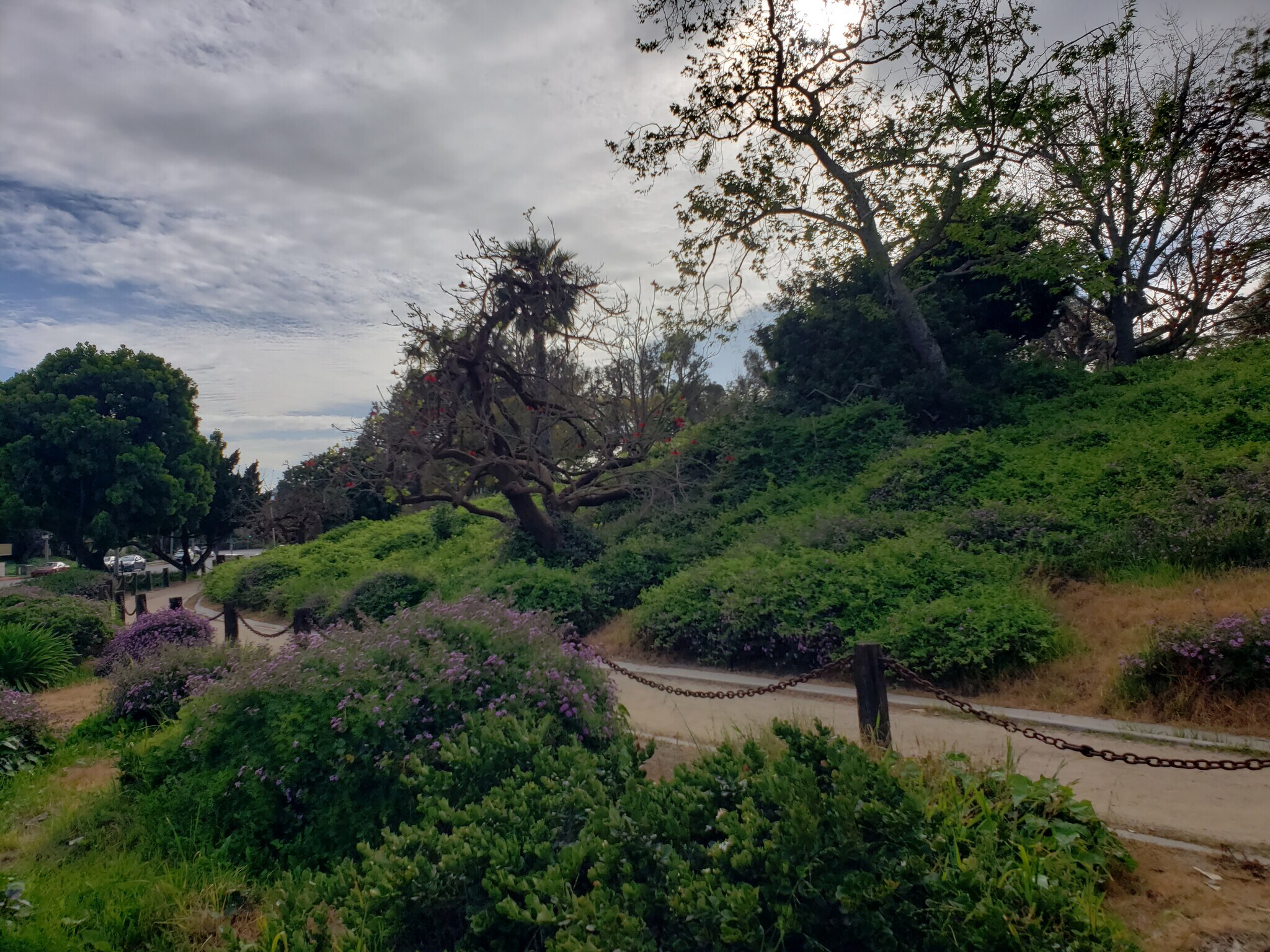 Building Photo - 6050 Canterbury Dr