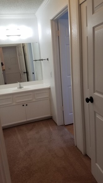Building Photo - 1533 El Tigre Ct