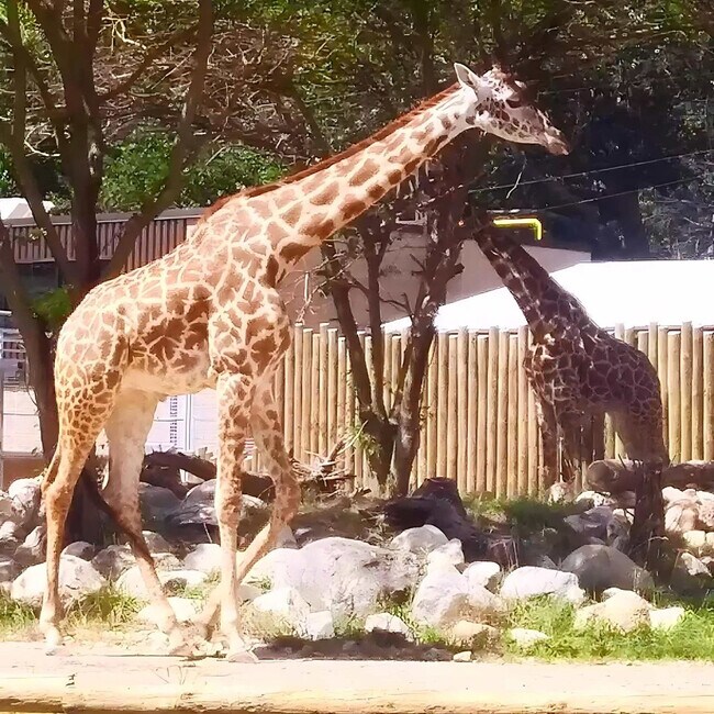Building Photo - 1012 N Lawrence St