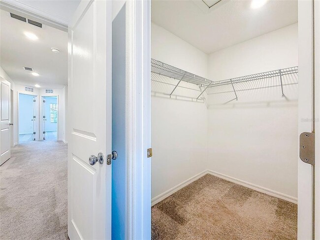 Building Photo - 2671 Buttercup Lucine Ln