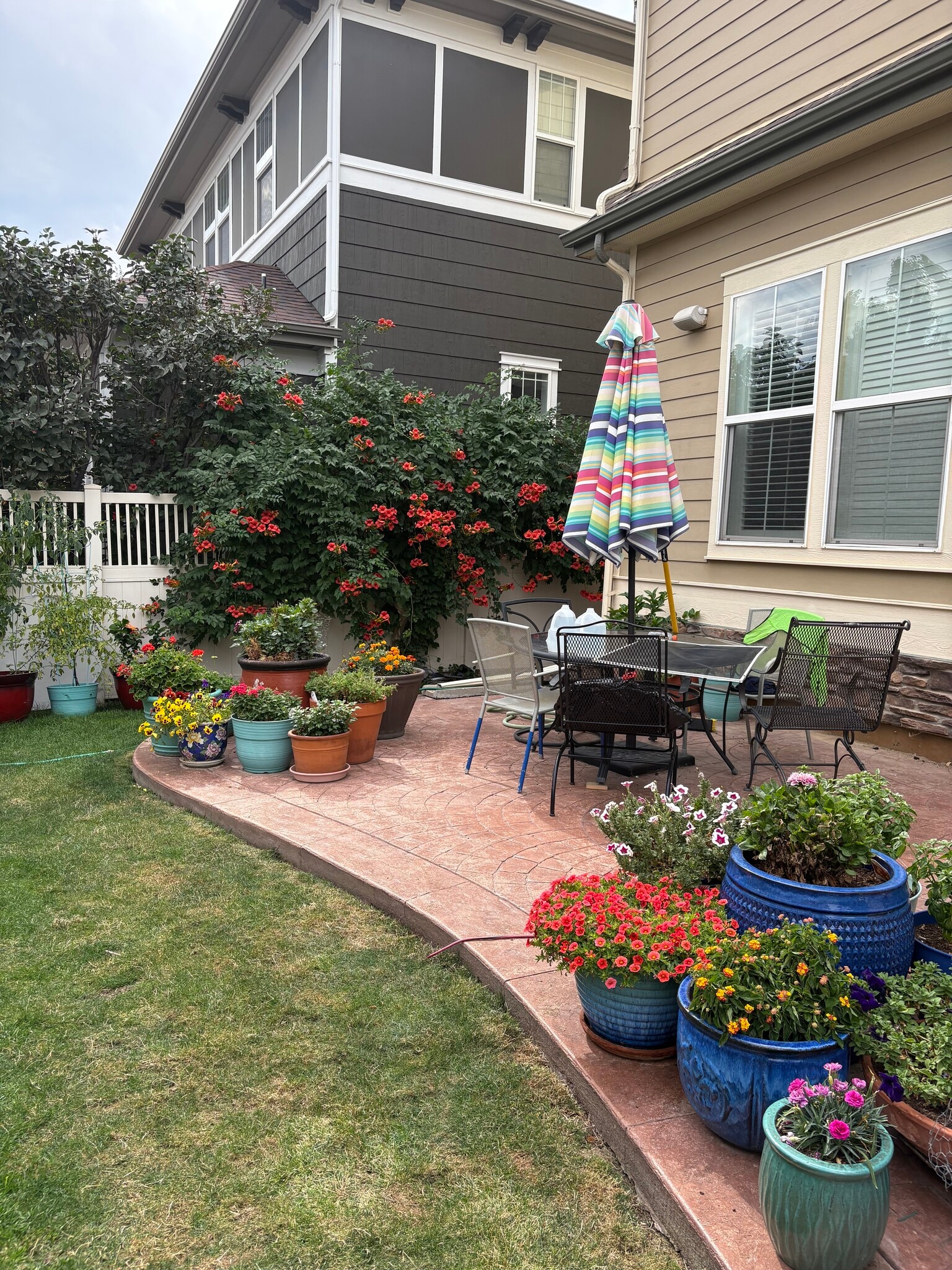 Backyard/Deck - 11666 Osceola St