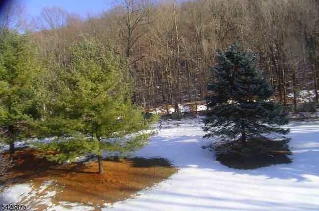 Building Photo - 2 Great Gorge Terrace