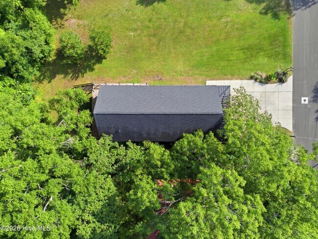 Building Photo - 213 Myrtle Ave
