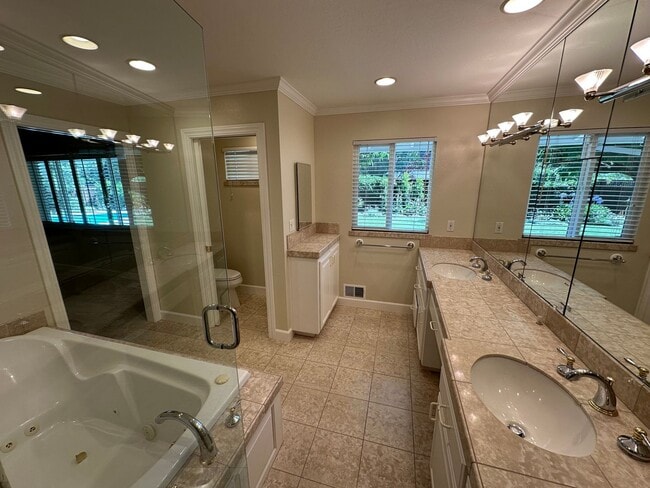 Building Photo - 5 Bed 3 Bath In Alamo W/ Pool