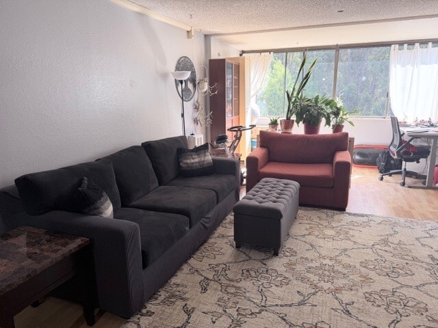 Building Photo - 555 Pierce St