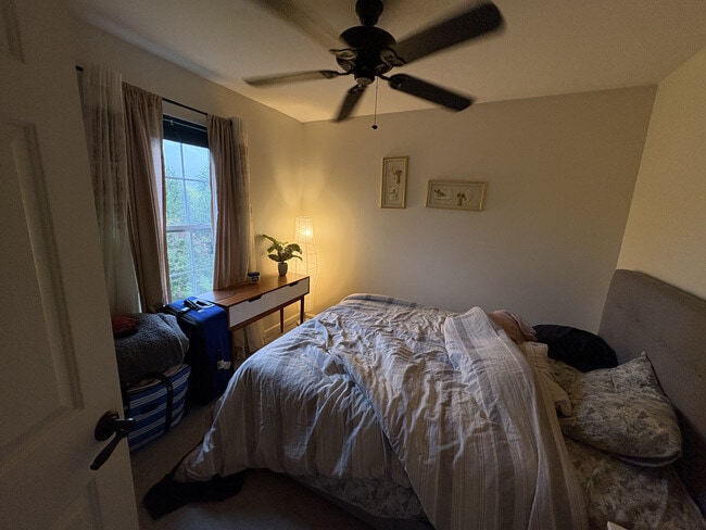 Building Photo - 8 Butterfly Ln